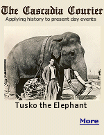 The story of Tusko's life is a painful, instructive and sometimes beautiful journey, but mostly painful.
